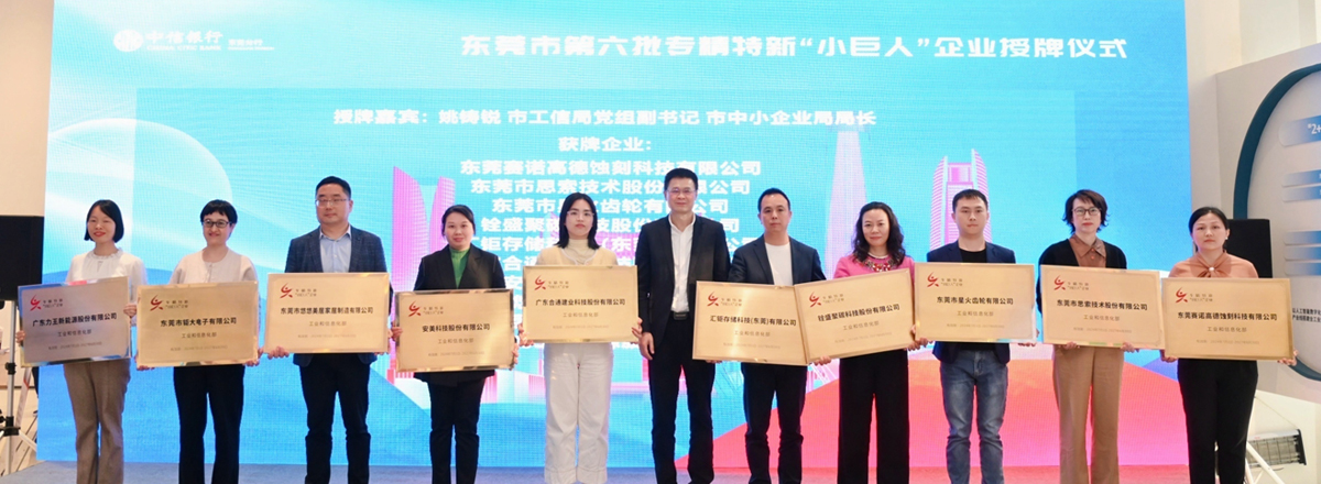 鉅大鋰電榮獲國家級(jí)專精特新“小巨人”企業(yè)稱號(hào)